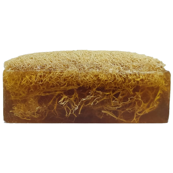 Kabak Lifli Amber Sabun 