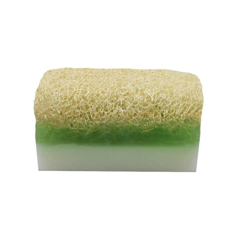 Kabak Lifli Eşek Sütü & Aloe Vera Sabun 