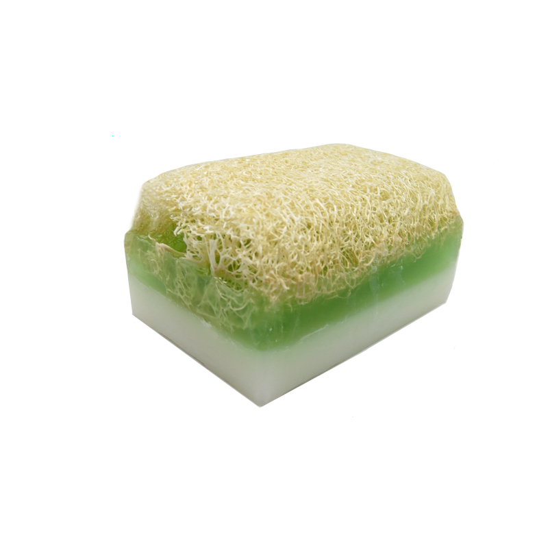 Kabak Lifli Eşek Sütü & Aloe Vera Sabun 